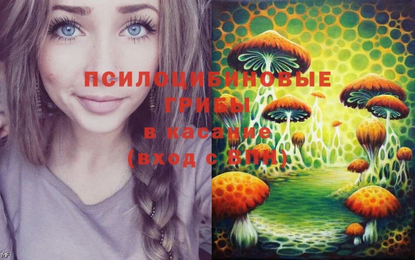 мяу мяу мука Абаза