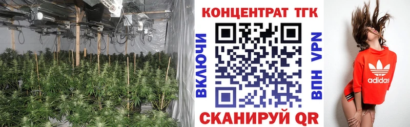 omg зеркало  Никольское  Дистиллят ТГК Wax 