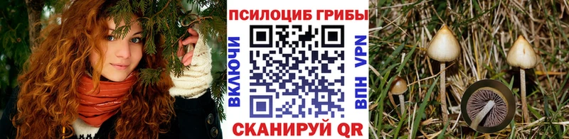 Псилоцибиновые грибы ЛСД  Никольское 